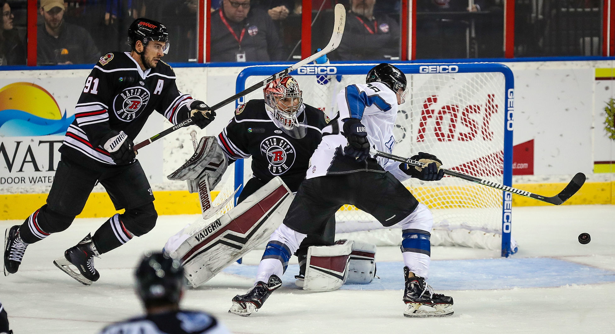 Rush host Steelheads